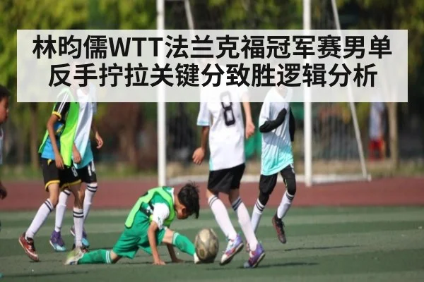 林昀儒WTT法兰克福冠军赛男单反手拧拉关键分致胜逻辑分析